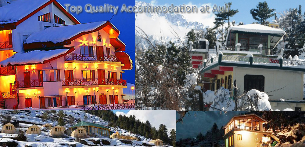 auli tours packages